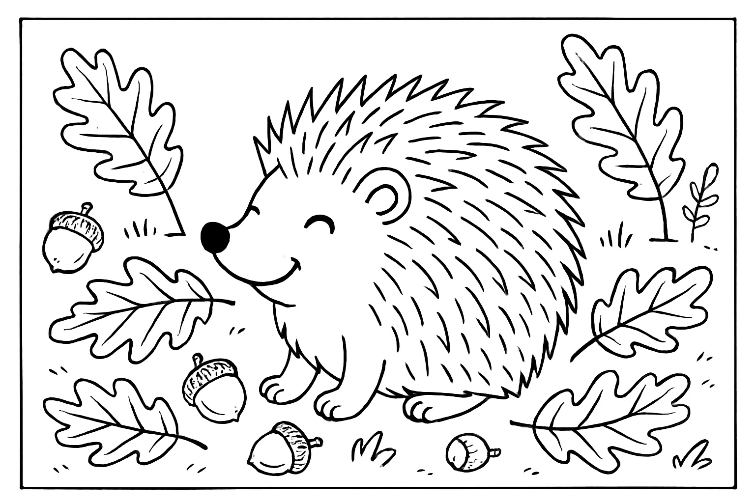 Hedgehog with acorns coloring page