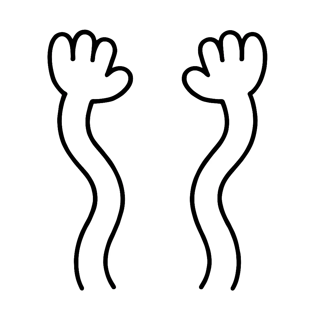 Long arms