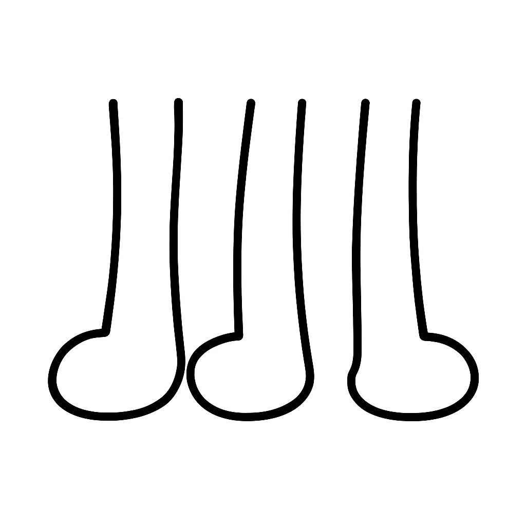 Four legs