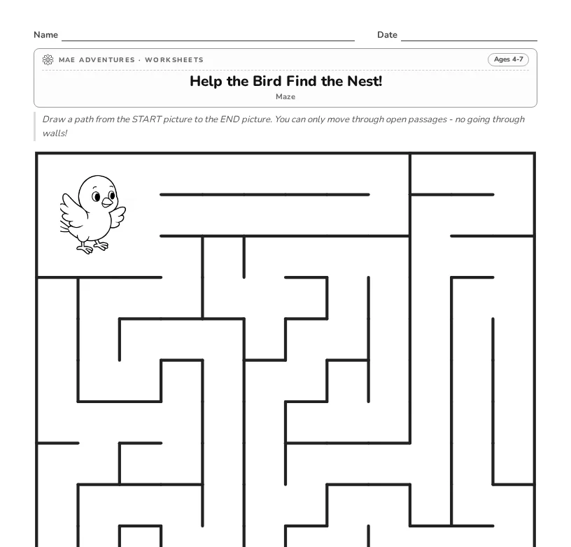 Bird maze
